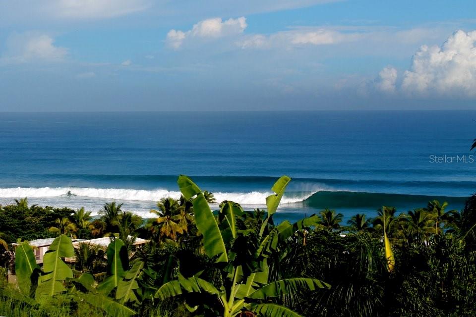 A view of ocean waves breaking near a tropical coastline with lush green foliage — 1 COLINA LINDA- "TRANQUILO", RINCON, PR