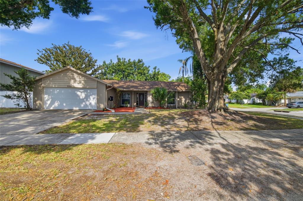 A single-story house with a white garage door and a large tree in the yard — 7327 SUNSHINE CIRCLE, TAMPA, FL