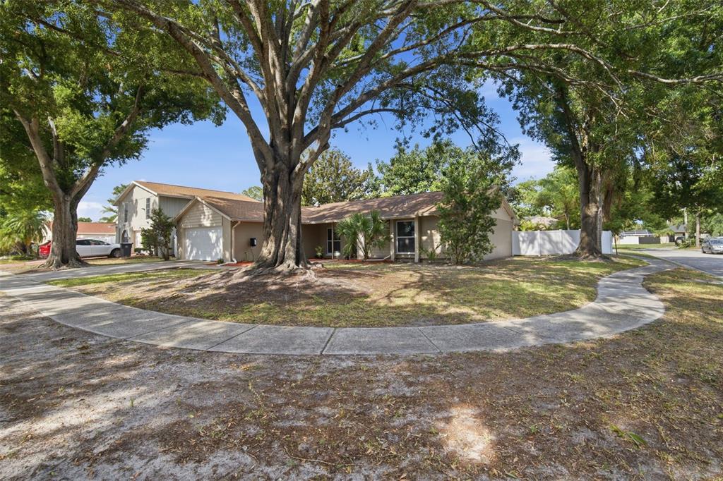 A single-story house with a tan exterior sits behind a large tree on a corner lot — 7327 SUNSHINE CIRCLE, TAMPA, FL
