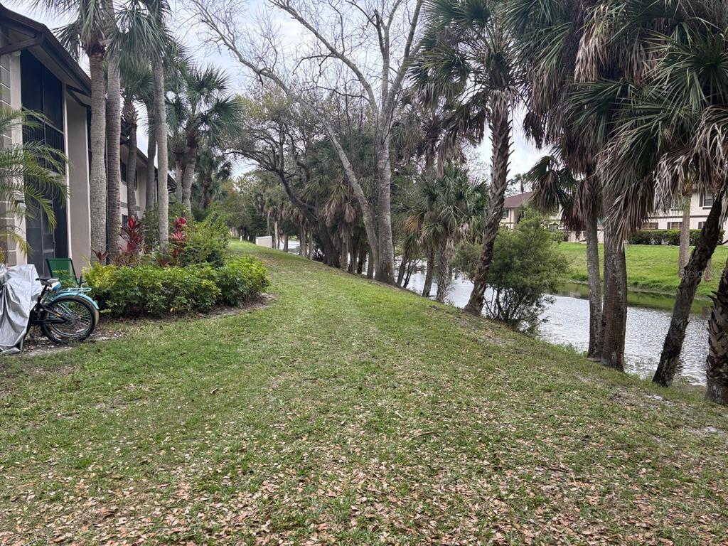 A grassy lawn sits between a residential building and a canal lined with palm trees — 1515 FORREST NELSON BOULEVARD UNIT P208, PORT CHARLOTTE, FL