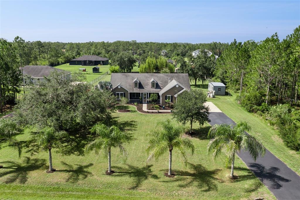 An aerial view shows a single-story house with a driveway, palm trees, and surrounding woods — 19204 PADDOCK STREET, ORLANDO, FL