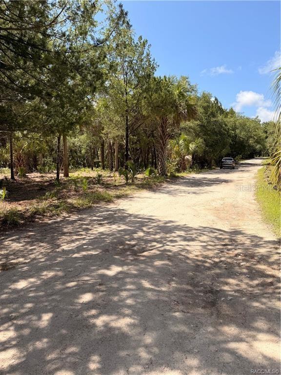 A dirt road runs alongside a wooded lot with various trees and palm plants — 11345 N MOONLIGHT TERRACE, INGLIS, FL