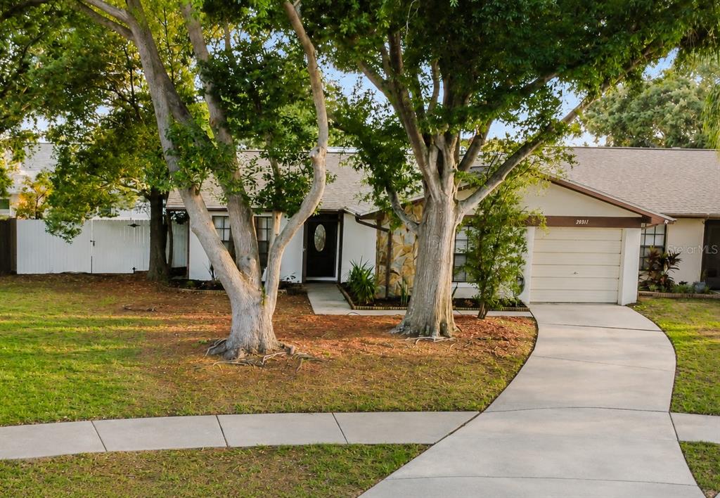 2031 DOVER COURT