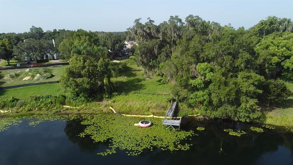 An aerial view of a wooden dock extending into a lake with lily pads — 1415 GROVE TERRACE, WINTER PARK, FL