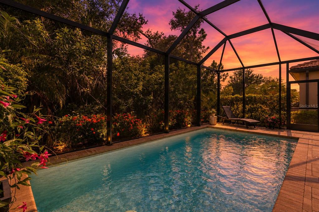 A screened-in swimming pool with lush landscaping at sunset — 145 SOLIERA STREET, NORTH VENICE, FL