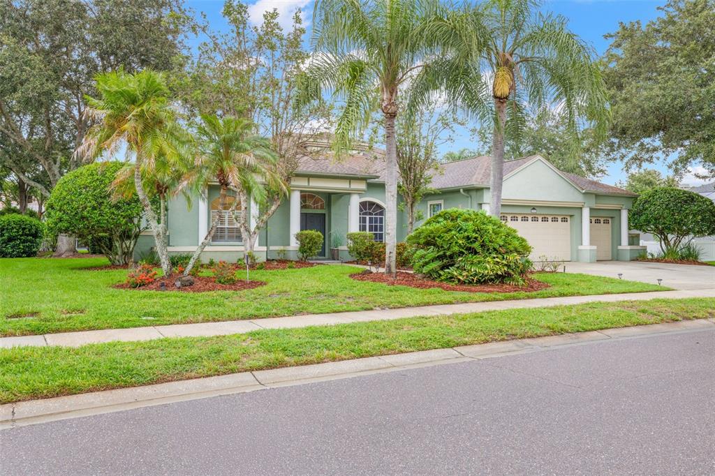 A single-story house with a green exterior, palm trees, and a multi-car garage — 5501 STAG THICKET LANE, PALM HARBOR, FL