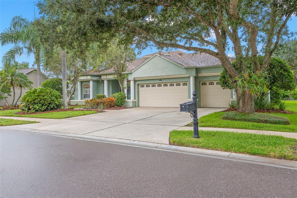 A green single-story house with a three-car garage and a large tree in the front — 5501 STAG THICKET LANE, PALM HARBOR, FL