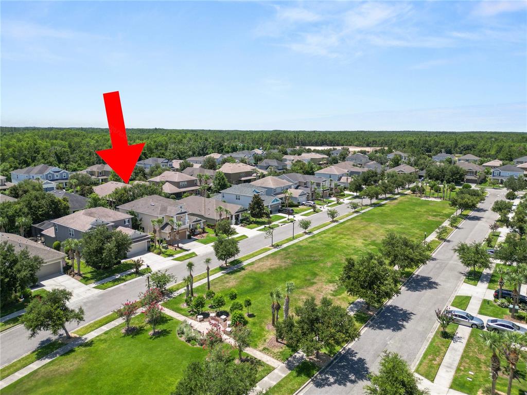 An aerial view shows a suburban neighborhood with houses, streets, and a central grassy area — 8775 SENTIERO DRIVE, LAND O LAKES, FL