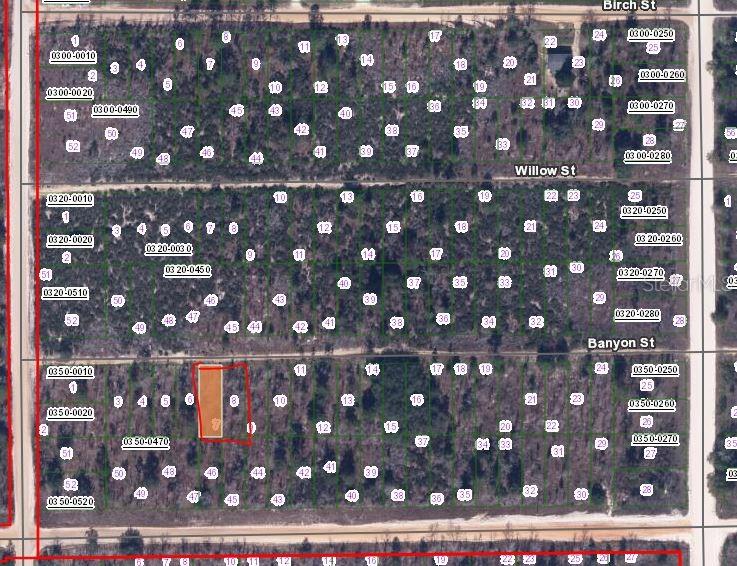 This is a map showing a grid of undeveloped land parcels with street names — 00 BANVON STREET, INTERLACHEN, FL