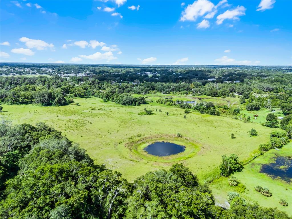 An aerial view shows a grassy field with a small pond surrounded by dense trees — 7466 VIVIAN LANE, ORLANDO, FL