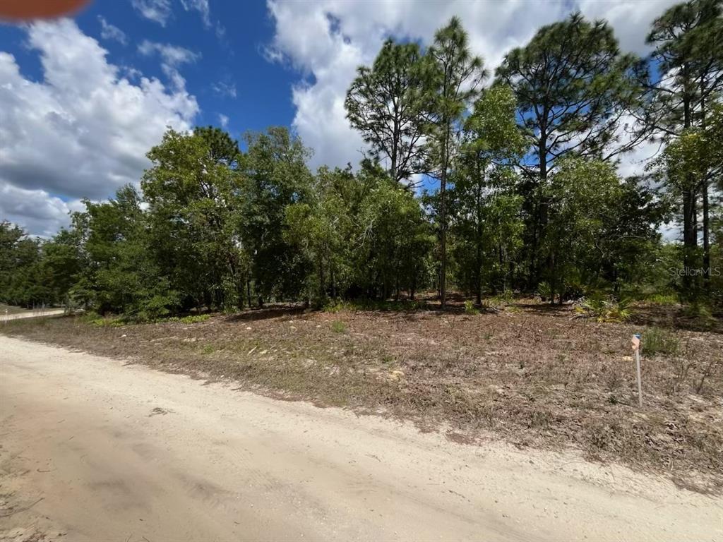 A dirt road runs alongside a wooded, undeveloped lot under a partly cloudy sky — 3726 W SPOON WOOD COURT, DUNNELLON, FL