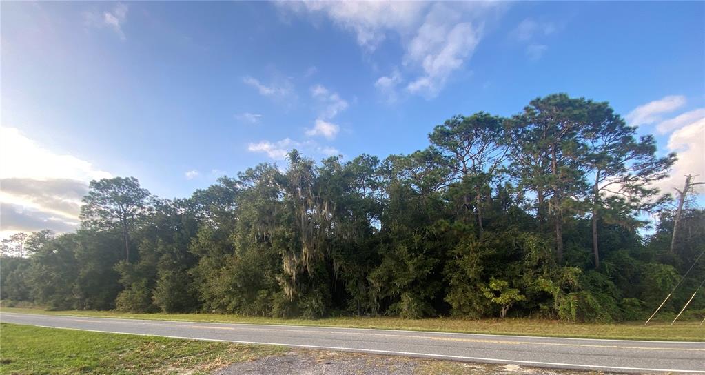 0 COUNTY ROAD 466, OXFORD, FL — photo 2 of 3
