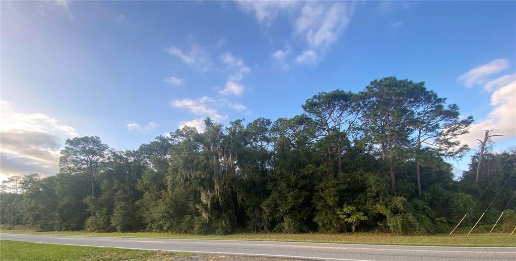 0 COUNTY ROAD 466, OXFORD, FL — photo 3 of 3