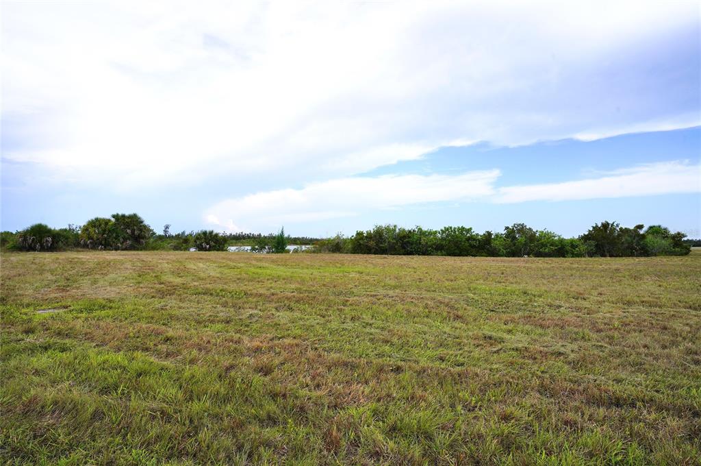 A wide, grassy field stretches toward a line of trees under a cloudy sky — 25 THRUSH DRIVE, PLACIDA, FL