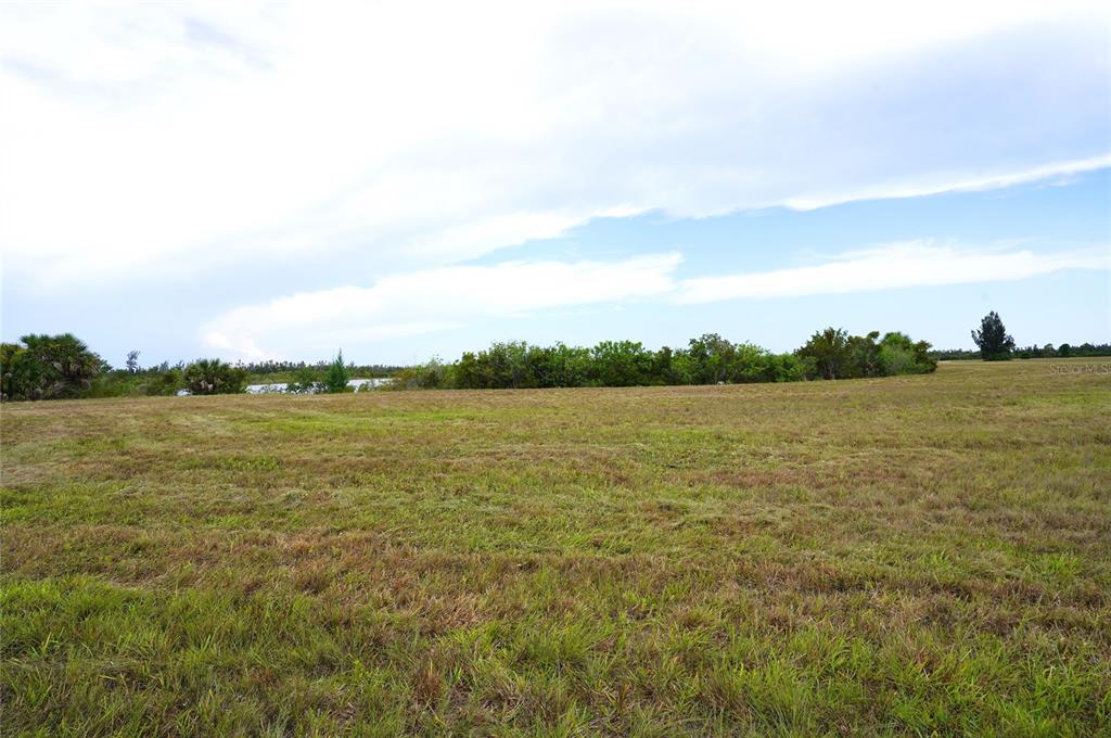 A wide, grassy field stretches toward a line of trees under a cloudy sky — 25 THRUSH DRIVE, PLACIDA, FL