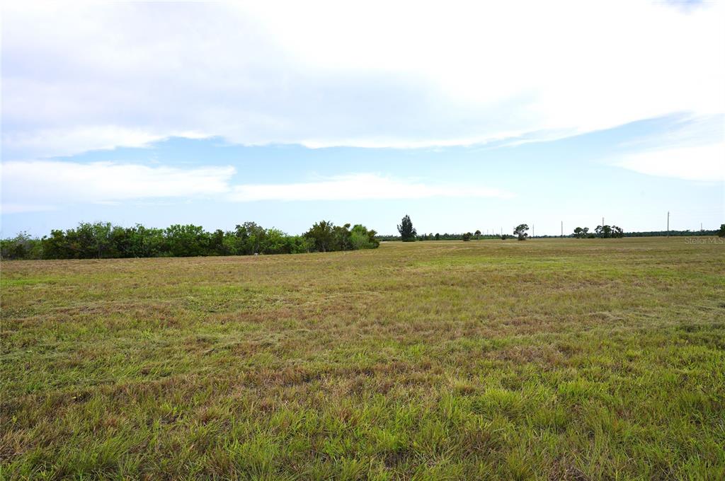 A wide, flat, grassy field stretches toward a distant line of trees under a cloudy sky — 25 THRUSH DRIVE, PLACIDA, FL