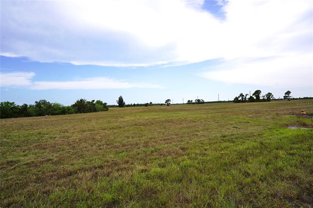 A wide, grassy, undeveloped field under a bright, cloudy sky — 25 THRUSH DRIVE, PLACIDA, FL