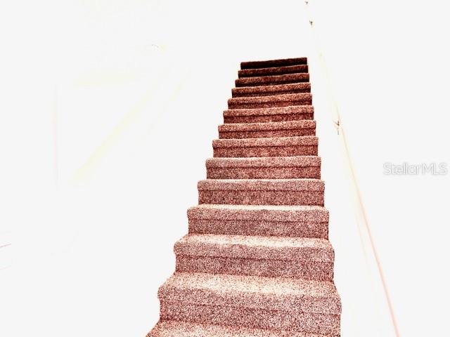 A set of carpeted stairs leads upward against a bright, white background — 449 JARAMA CIRCLE, ST AUGUSTINE, FL