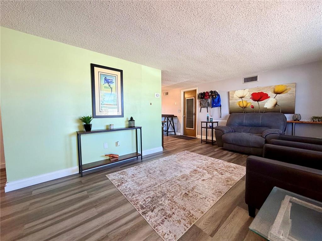 A living room features light green and gray walls, wood-look flooring, and a patterned area rug — 3118 ELKRIDGE DRIVE, HOLIDAY, FL