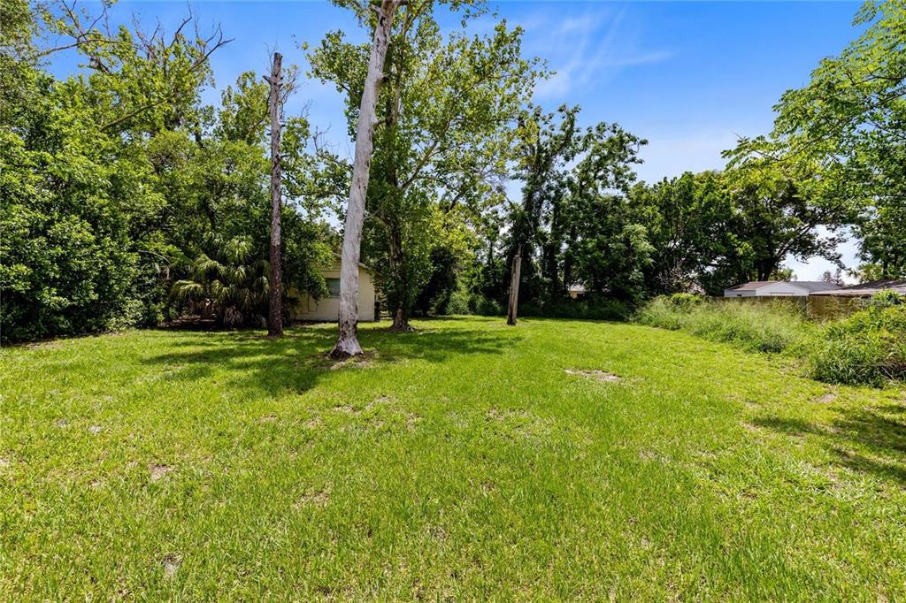 A grassy, tree-filled backyard features a small, light-colored shed in the distance — 3711 N RONALD REAGAN BOULEVARD, LONGWOOD, FL