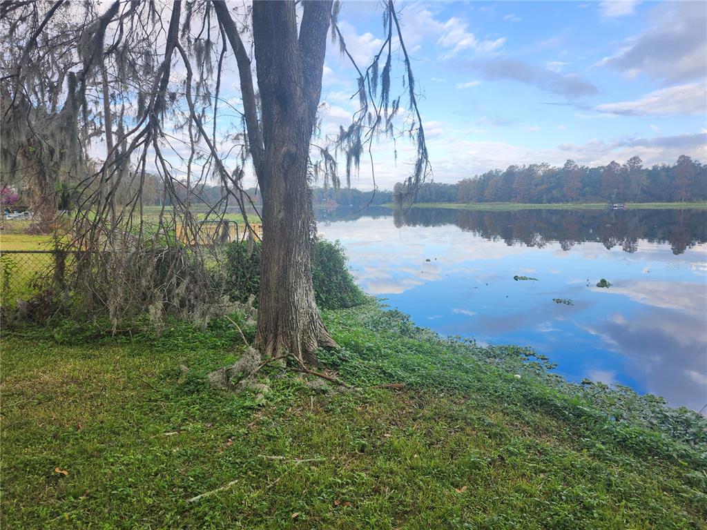 A large tree stands on a grassy bank overlooking a calm lake under a cloudy sky — 3606 RIVER GROVE DRIVE, TAMPA, FL