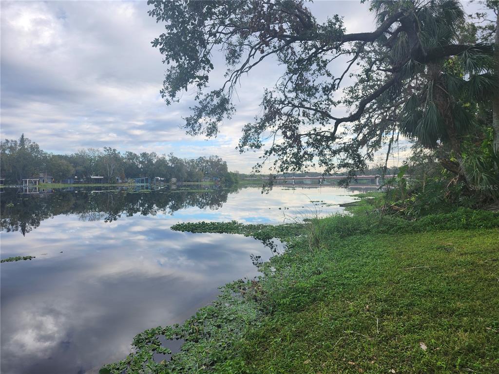 A view of a calm lake with a large tree overhanging the grassy bank — 3606 RIVER GROVE DRIVE, TAMPA, FL