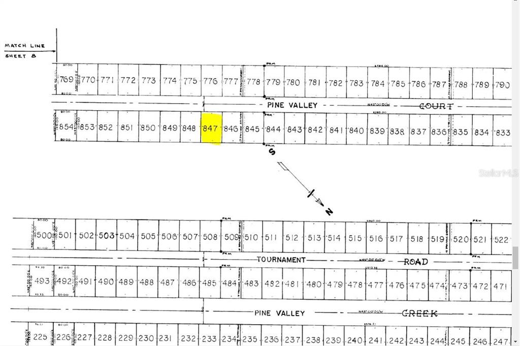 This image is a land survey map showing numbered residential lots along Pine Valley Court — 21 PINE VALLEY COURT, ROTONDA WEST, FL