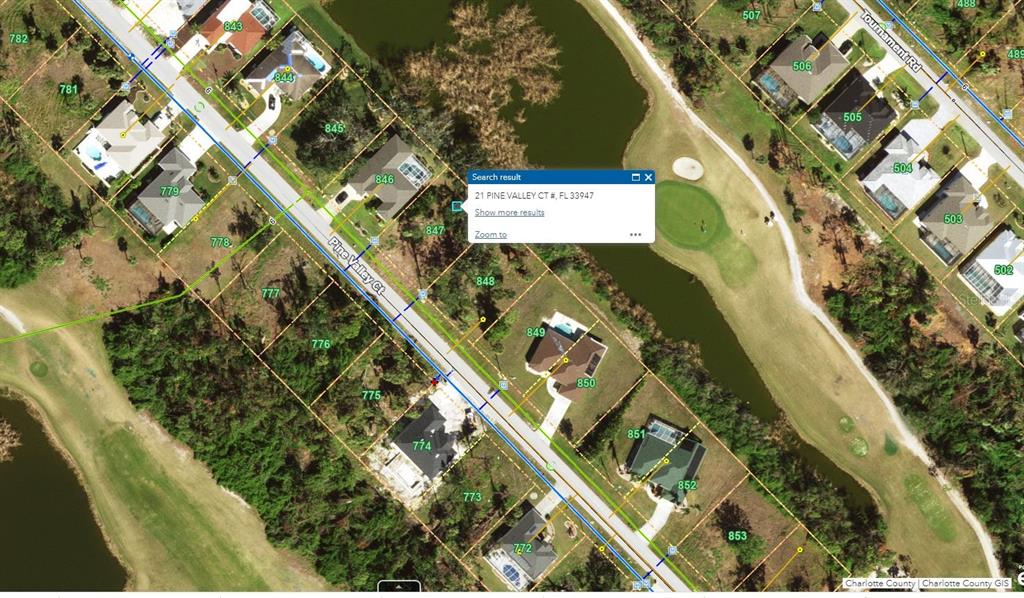 This is a satellite map view showing residential properties along a street and a pond — 21 PINE VALLEY COURT, ROTONDA WEST, FL