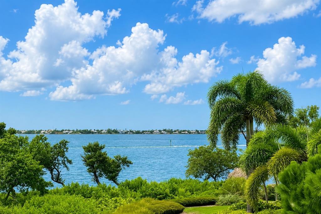 A view of a blue bay with a distant shoreline, palm trees, and lush green landscaping — 264 SAINT LUCIA DRIVE UNIT 201, BRADENTON, FL