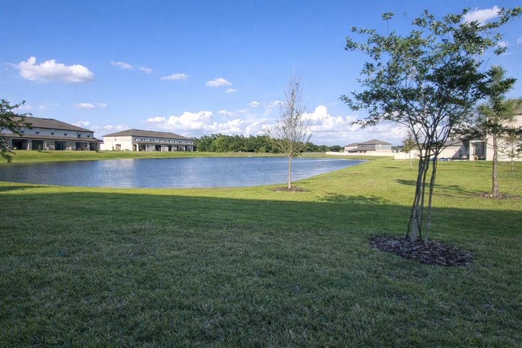 12420 CRYSTAL JADE WAY, PARRISH, FL — photo 3 of 23