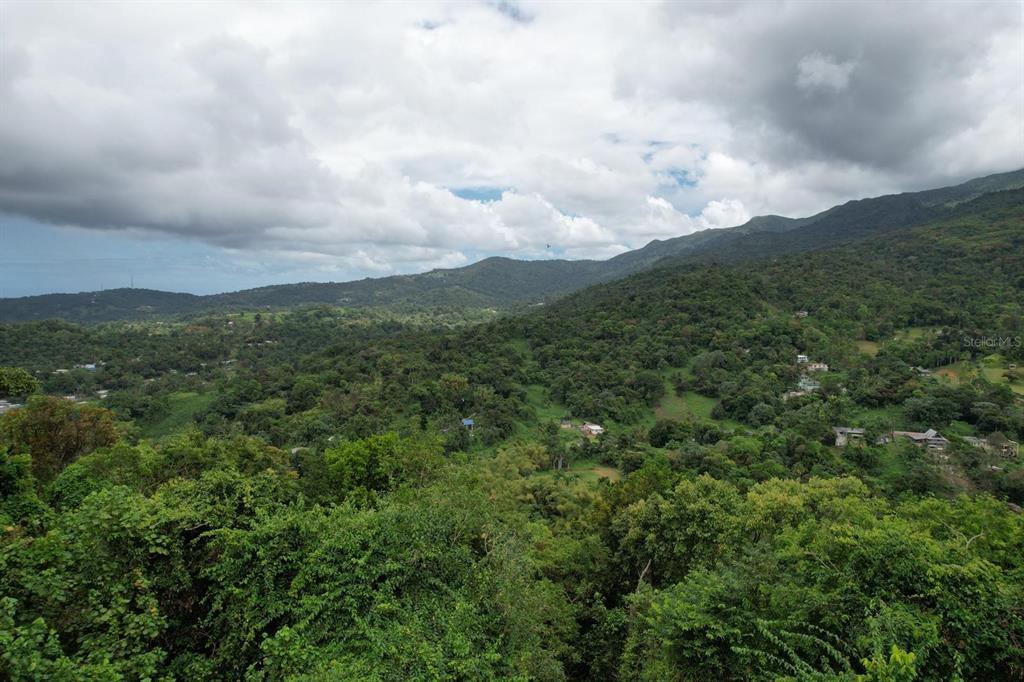 A high-angle view shows a lush, mountainous landscape with scattered houses nestled among dense trees — KM 22.1 PR 186, RIO GRANDE, PR