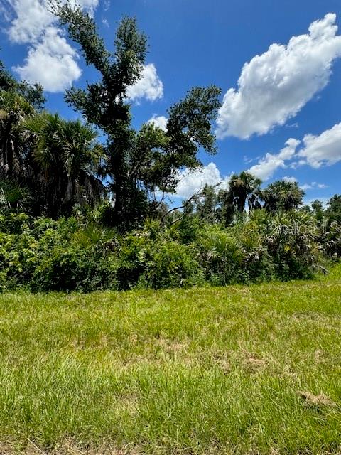 A grassy field sits in front of a dense line of trees and palm bushes — 14399 MC CLELLAN AVENUE, PORT CHARLOTTE, FL
