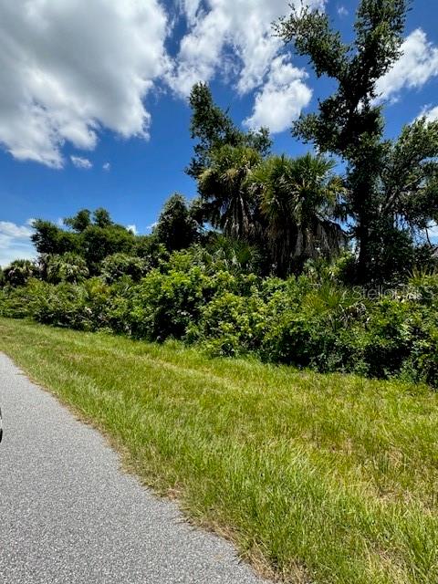 A paved road runs alongside a dense area of trees, shrubs, and palm trees — 14399 MC CLELLAN AVENUE, PORT CHARLOTTE, FL
