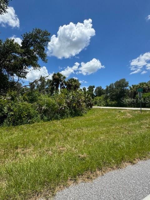 A grassy, undeveloped lot features dense trees and shrubs under a bright blue sky — 14399 MC CLELLAN AVENUE, PORT CHARLOTTE, FL