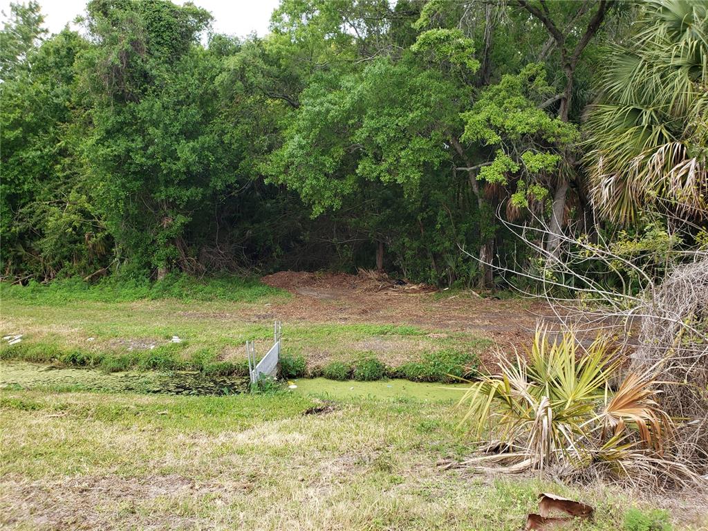A grassy area with a small water canal and a metal gate leads to woods — GROSSE AVENUE, TARPON SPRINGS, FL