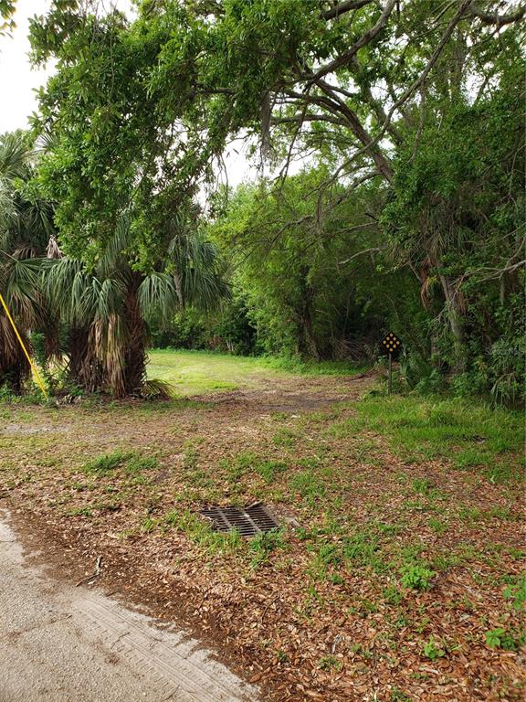 A dirt path leads into a wooded area with a storm drain in the foreground — GROSSE AVENUE, TARPON SPRINGS, FL