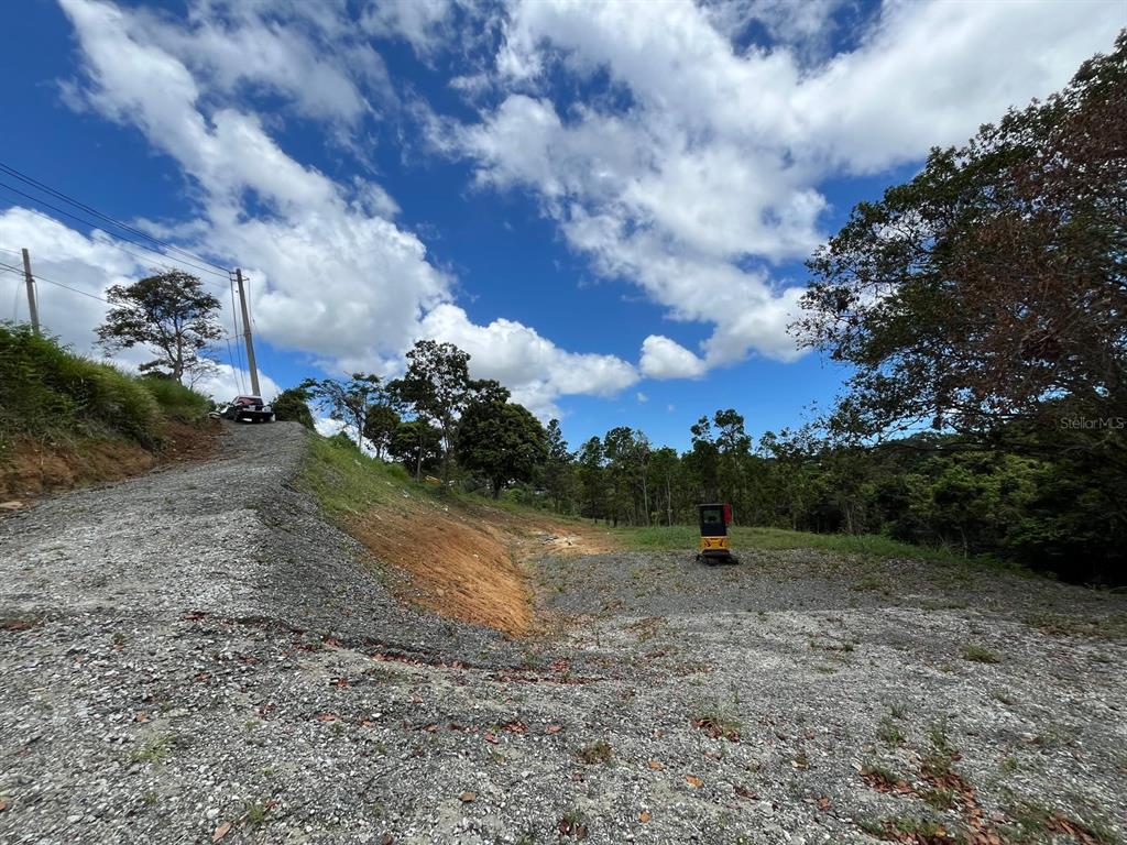 A gravel driveway leads to a cleared, sloped lot with trees under a cloudy sky — LOT 5 KM 2.5 CARRETERA 856, CAROLINA, PR
