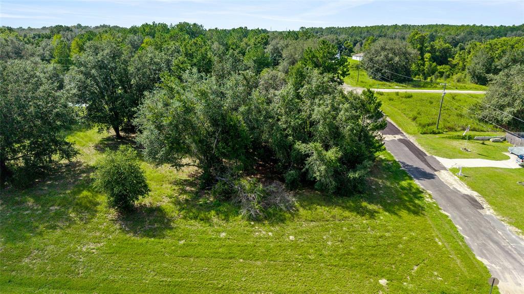An aerial view shows a grassy, tree-filled lot adjacent to a paved road — 550 E URBANA PLACE, DUNNELLON, FL