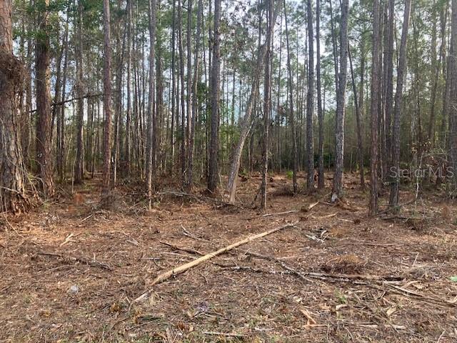 4515 MAHOGANY BOULEVARD, BUNNELL, FL — photo 2 of 3