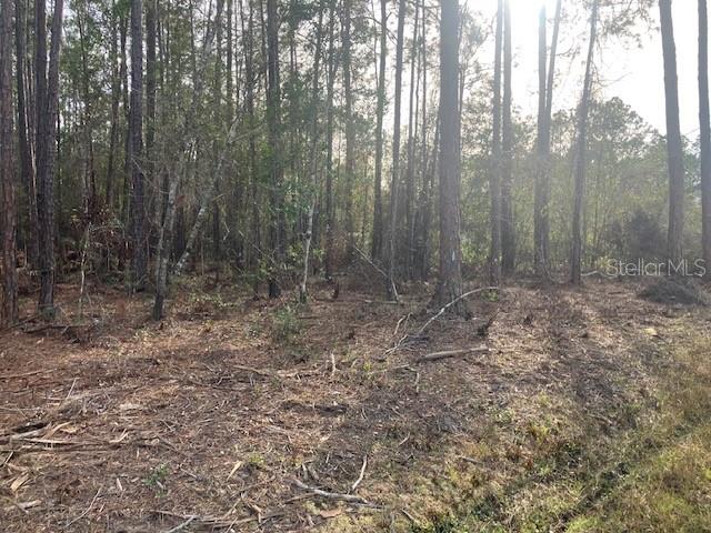 4515 MAHOGANY BOULEVARD, BUNNELL, FL — photo 3 of 3