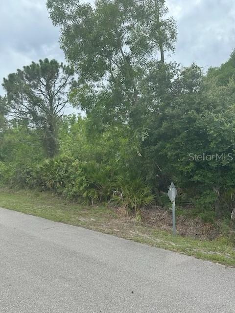 A paved road runs alongside a densely wooded lot with various trees and shrubs — 12143 PONTOON BOULEVARD, PUNTA GORDA, FL
