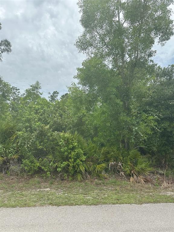 A view of a densely wooded, undeveloped residential lot from the edge of a road — 12143 PONTOON BOULEVARD, PUNTA GORDA, FL