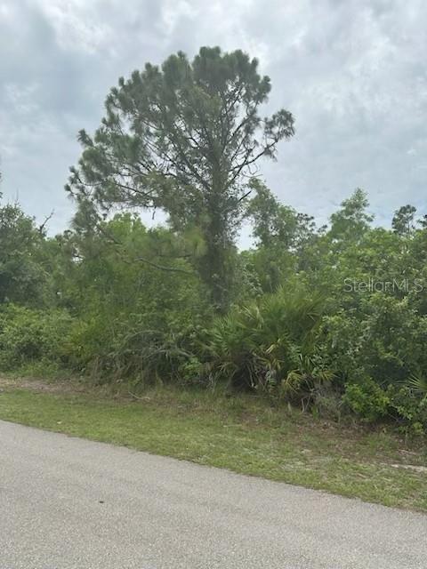 A tall pine tree stands behind a dense thicket of vegetation next to a paved road — 12143 PONTOON BOULEVARD, PUNTA GORDA, FL