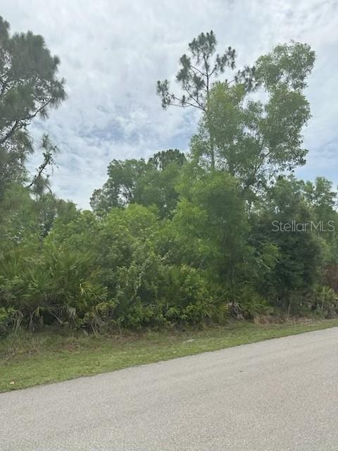 This photo shows a vacant, wooded lot bordering a paved road — 12143 PONTOON BOULEVARD, PUNTA GORDA, FL