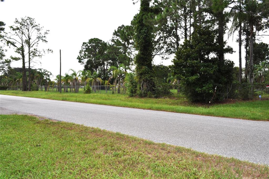 A paved road runs alongside a grassy lot with trees and a wire fence — 5170 STAR LINE DRIVE, ST CLOUD, FL