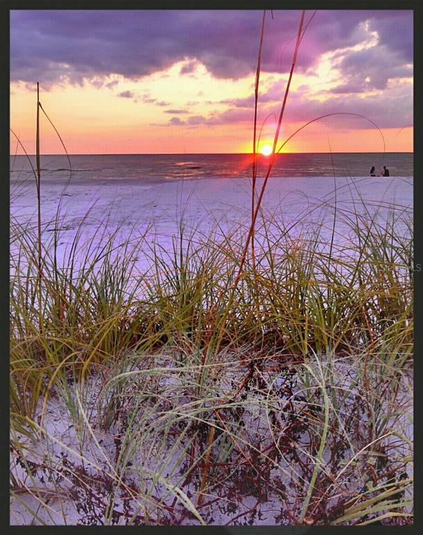A sunset view over the ocean seen from behind beach grass on a sandy shore — 403 GULF WAY UNIT 601, ST PETE BEACH, FL