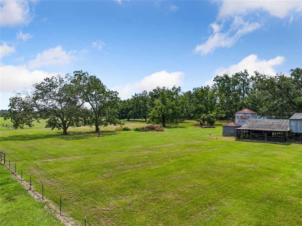A grassy field features a wire fence, several large trees, and an old barn structure — 1845 SW HALTIWANGER ROAD, LAKE CITY, FL