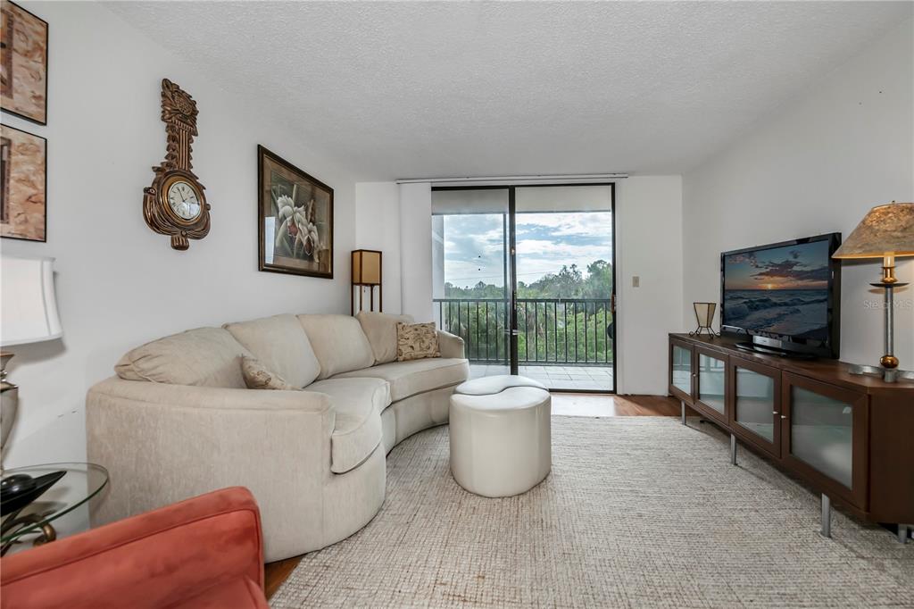A living room features a curved sofa, a television on a console, and a balcony view — 25188 MARION AVENUE UNIT D205, PUNTA GORDA, FL