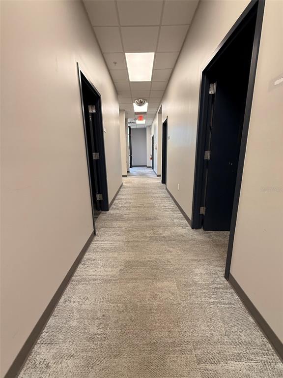 A narrow office hallway features light-colored walls, gray carpeted flooring, and several dark-framed doorways — 13859 PROGRESS BOULEVARD UNIT 200, ALACHUA, FL