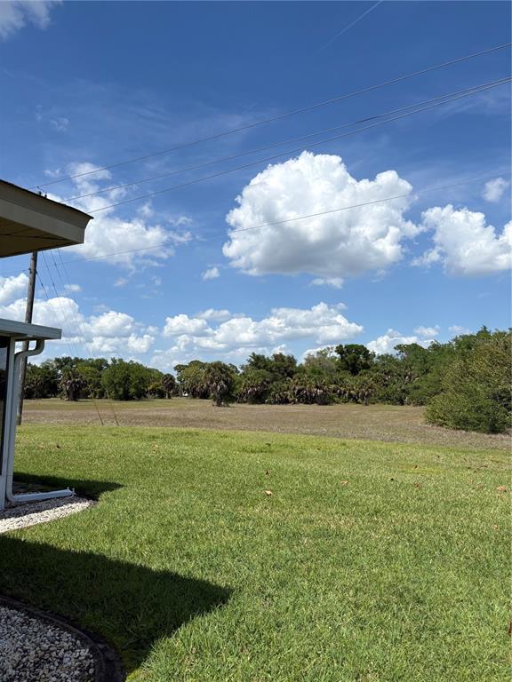 A view of a grassy backyard looking toward a line of trees under a blue sky — 157 ANNAPOLIS LANE, ROTONDA WEST, FL